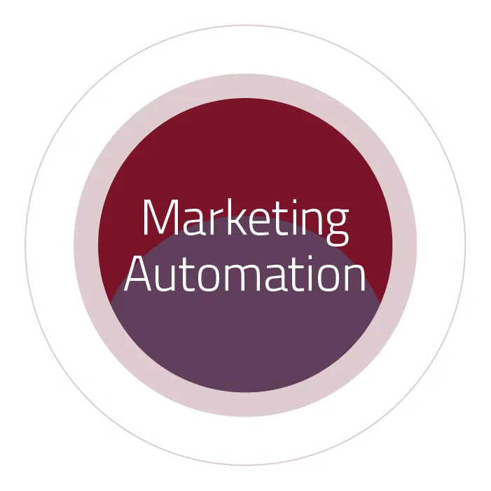 evalanche-einsatzgebiet-marketing-automation